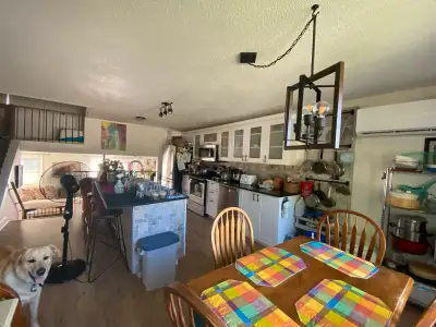 shared accommodation