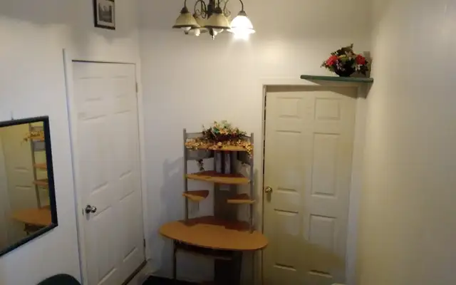 Basement furnished private small room for rent in scarborough