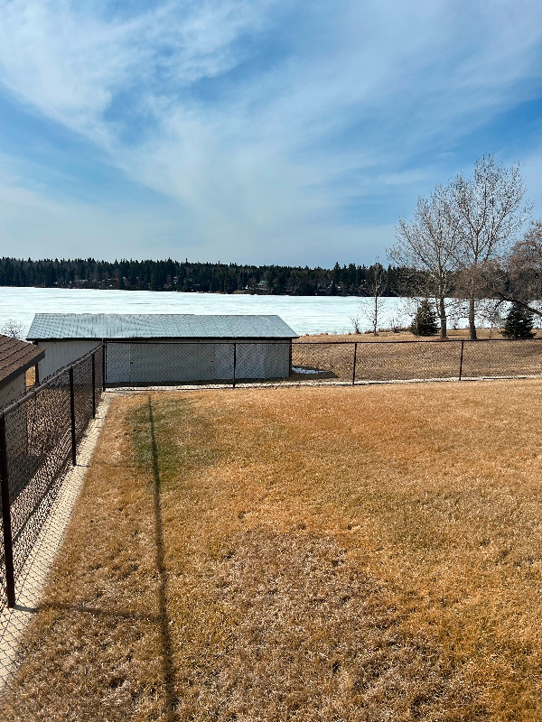 Water front property on Cowan Lake in The Town of Big River Sask in Houses for Sale in Prince Albert - Image 4