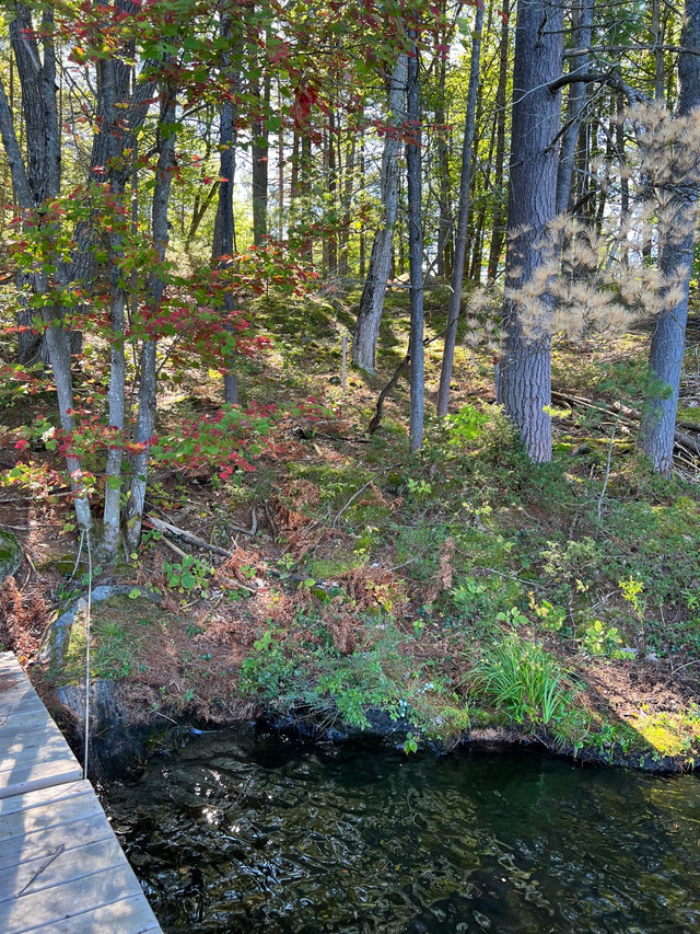 Waterfront lot for sale Gravenhurst Land for Sale Muskoka Kijiji
