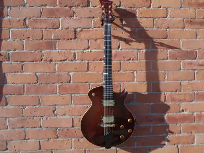 Used 2010 Eastman ER2 guitar with a hard case-1800 OBO. The instrument is in a very good condition....