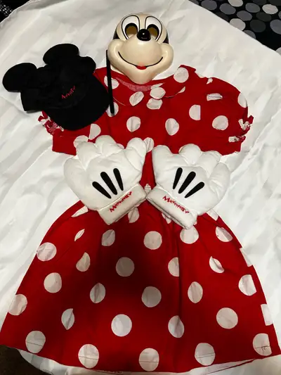 Minnie Mouse Costume, View more