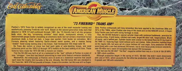 1973 Pontiac Firebird Trans Am SD 455 V8 Shaker Hood Silver 1:18 in Arts & Collectibles in Markham / York Region - Image 11