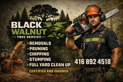 Tree Removal Services , View more