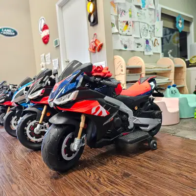 Weight Capacity: 36.3 Kg or 80 Lbs. Wheels: Rubber Wheels Motors: 2 X 24V or 12V HP Motors Battery:...