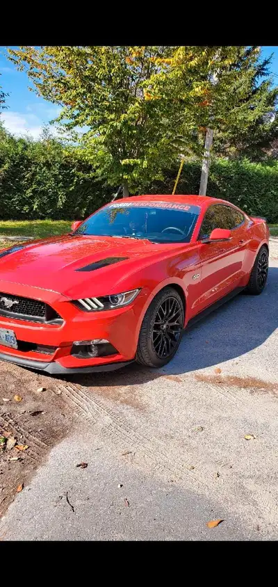 2016  Mustang Gt   PP1
