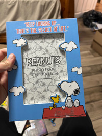 Peanuts Frame