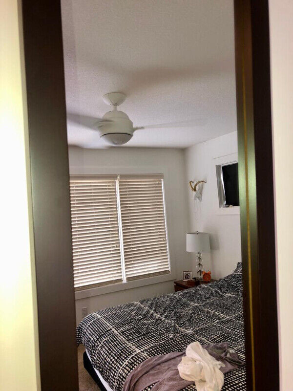 Solid Wood Full Length Rectangle Framed Mirror in Other in Calgary - Image 4