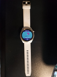 Garmin S40 Watch