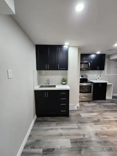 Newly renovated basement apartment