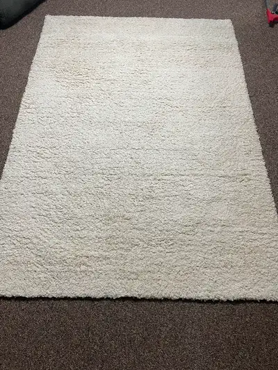 Beautiful plush area rug Super soft! 5’X7’ No stains, extremely clean No pets or smoking around it....