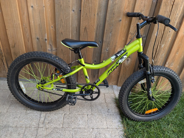 Bike for Boys / Girls (Tires 18", 20" & 24" ) in Kids in Kitchener / Waterloo - Image 2