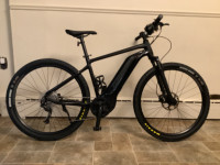E-Bike giant medium black 2022
