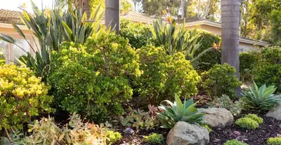 Landscaping & Gardening Services in the Niagara Area, View more