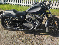 Harley Sportster 883  
