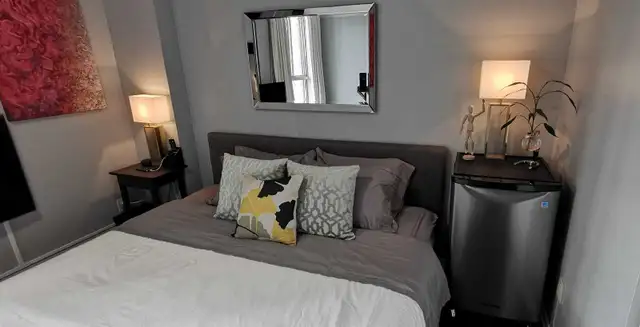 1br - 156ft2 - Fully Furnished Private Room in Downtown in Room Rentals & Roommates in City of Toronto - Image 5