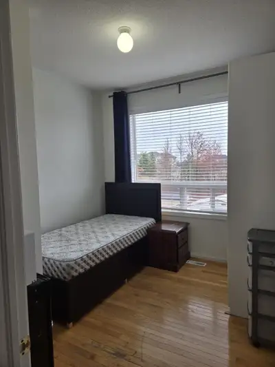 BRIGHT LARGE APARTMENT FOR RENT