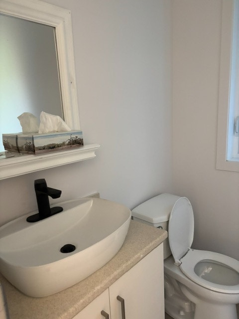 A louer pour étudiant Studio Montreal Plateau Mont Royal — photo 3