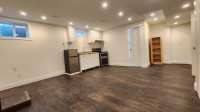 Studio basement available for rent from June 1st  in Milton, L9T