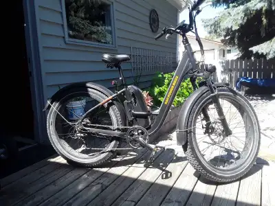 Rad Power ebike, View more