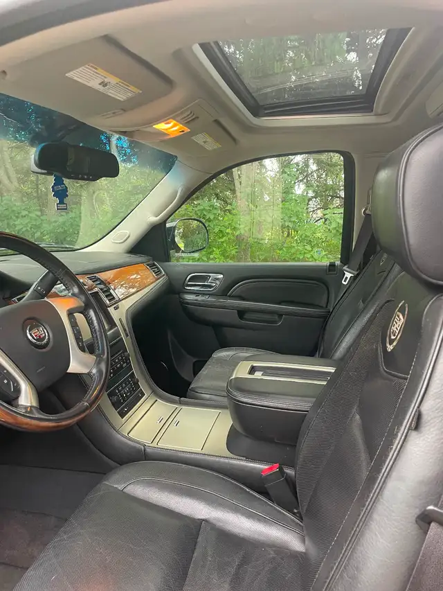2012 Escalade Platinum551125938162913288