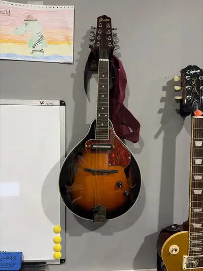 Ibanez Electric Mandolin – Sunburst Finish, View more