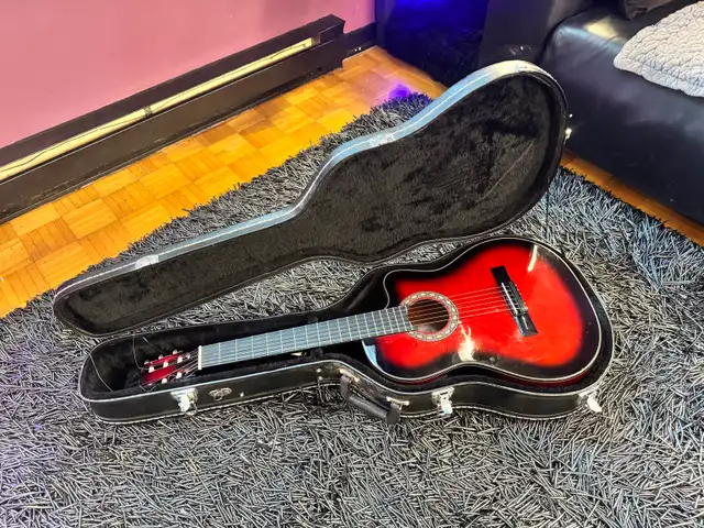 Electro-acoustic guitar with its case