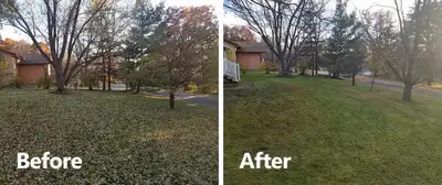 leaf removal - lawn care , View more