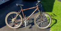  Norco pinnacle mountain bike for sale
