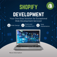 I will set up a Shopify website and Shopify dropshipping store.