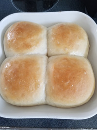 Homeade buns