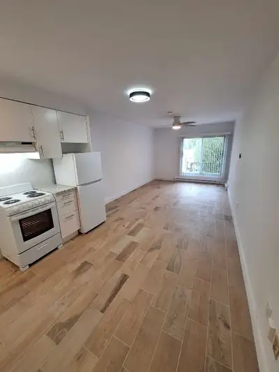Villeray Studio on belanger ( Metro St-Michel)