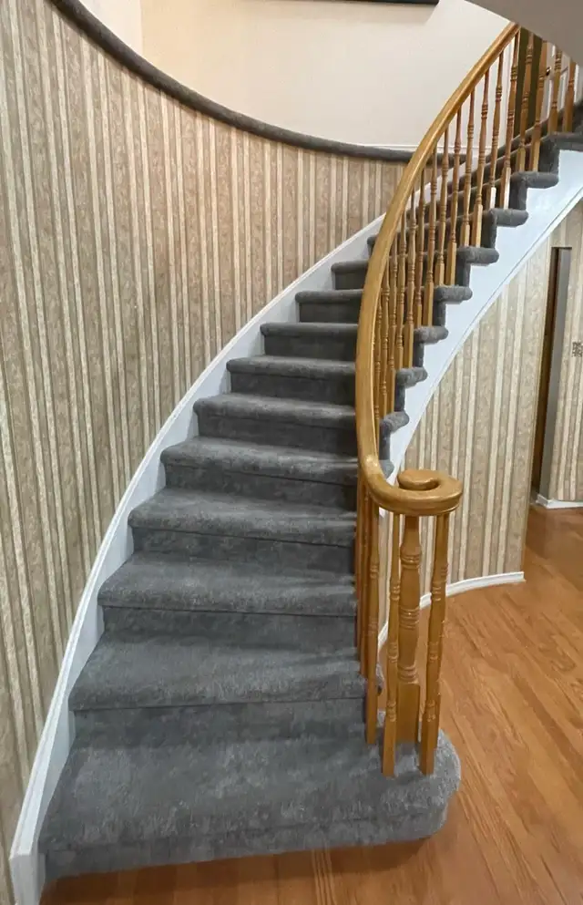 Carpet Installation576046332296581122