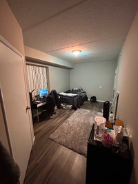 Private Room with attached washroom available for rent- $700