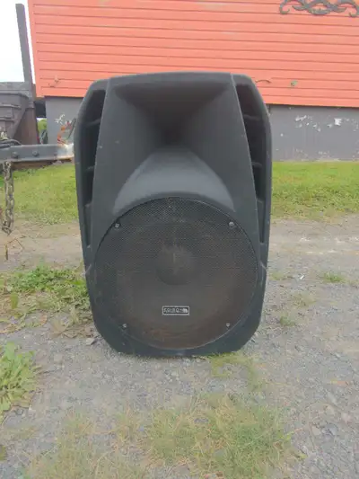 Edison Professional ACT1505-2500 Speaker, View more