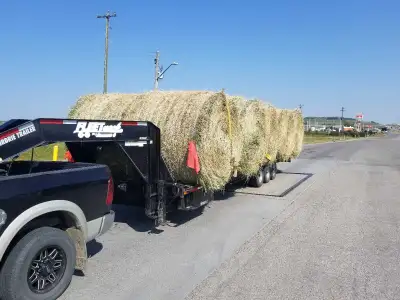 Round Hay Bales for Sale, View more
