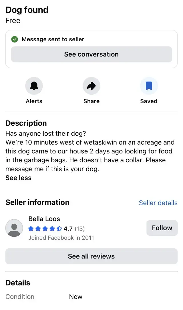 Lost Doggy  Needs to get Home!!!!! Asap!!!! in Lost & Found in Edmonton - Image 4