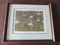 Robert Bateman Queen Anne's Lace and American Goldfinch