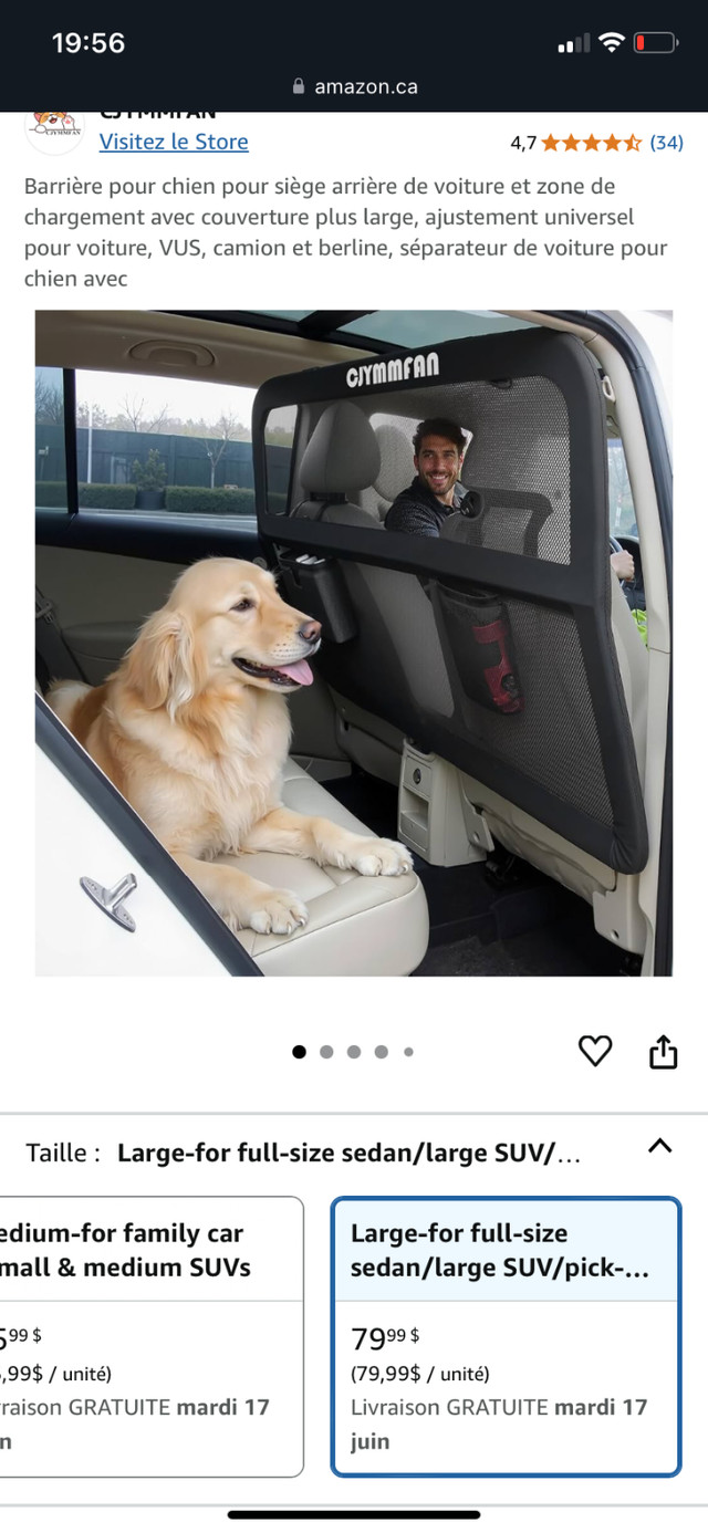 Chien barrière dans Accessoires  à Longueuil/Rive Sud