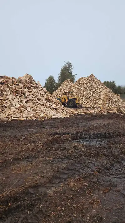 All hardwood ready for fall of 2025. $330 a Cubic cord delivered.