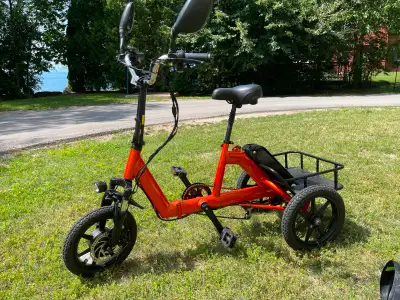 Electric Tricycle for Adults, Peak 500W Brushless Motor Electric Trike, 480Wh Removable Battery, Ste...