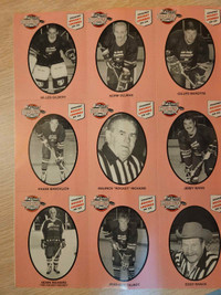 Oldtimers hockey 2 pages uncut