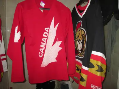 MusicStands2Trade4 hockeyJersyMandolin/banjo/bike/guitars, View more