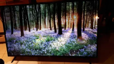tcl tv 55 inch roku tv. Made sept 2018. Excellent quality 4k. No issues. Needs a remote control.