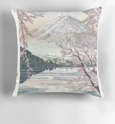 Gorgeous throw pillows, View more