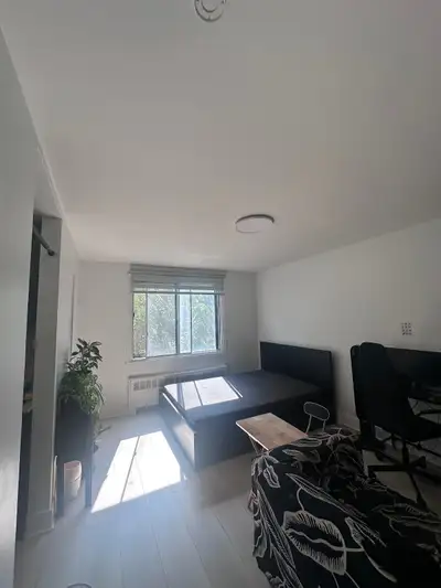 Newly renovèated studio strategically located in Downtown Montreal. Quiet residential neighborhood....
