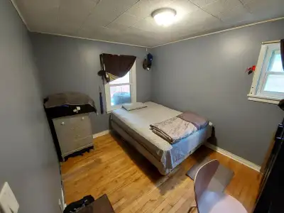 Centrally located room for rent