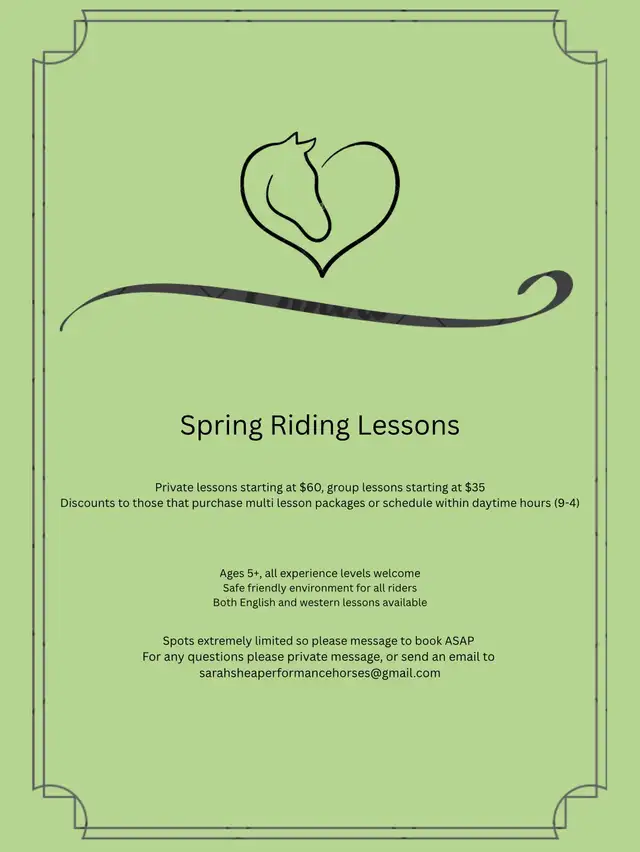 riding lessons427545903288166400