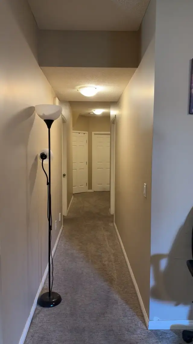 spacious bilevel basement
