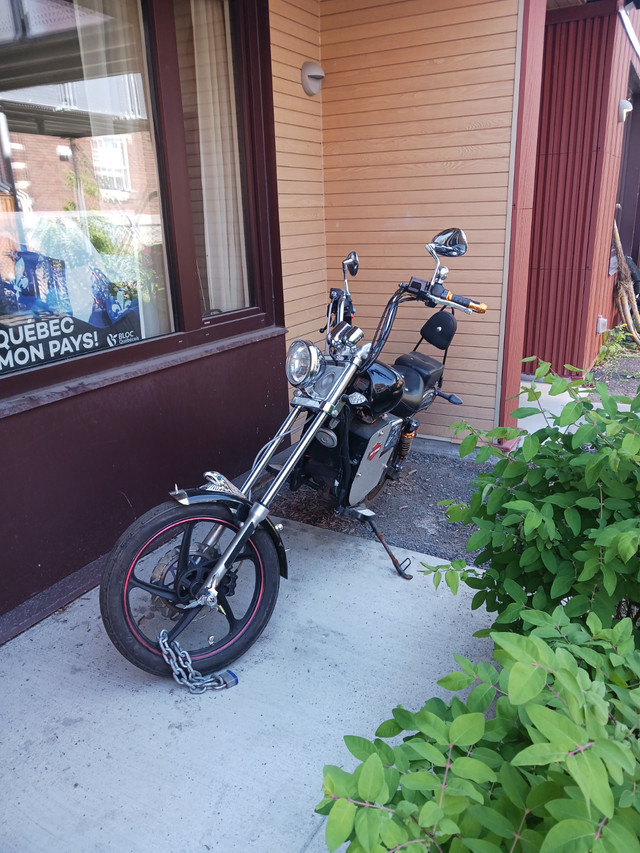 Moto Harley Davidson Chopper dans Utilitaires et de promenade  à Ville de Montréal - Image 3